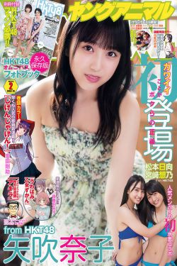 电视剧公关小姐
